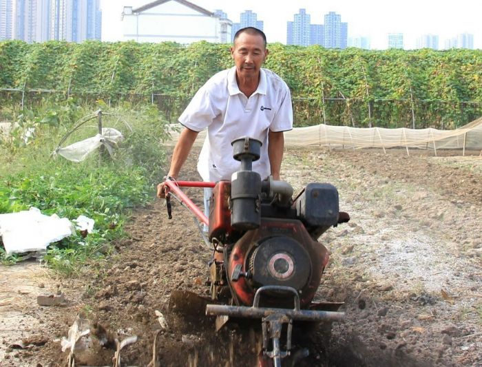 　　近几天来，随着一阵阵秋雨下地，土壤湿润，村民们开始犁地抢种秋菜。图为桂林街道双坝村村民正在犁田。 记者周冰娥摄
