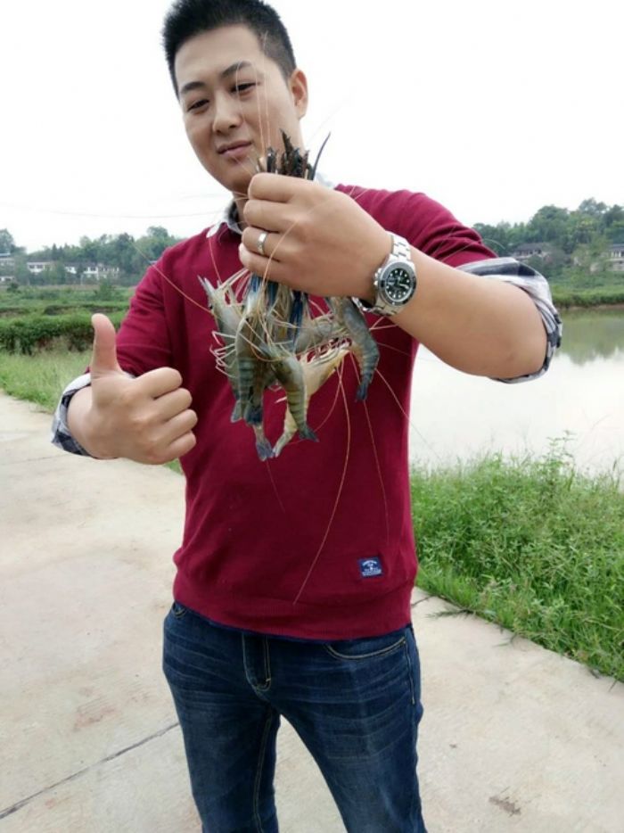 邓文明展示海虾。
