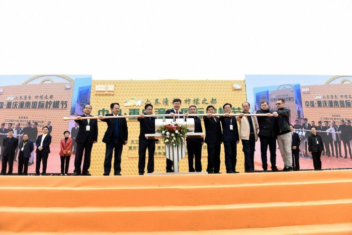 中国·重庆潼南国际柠檬节开幕启动仪式现场。 记者 田茂培 摄