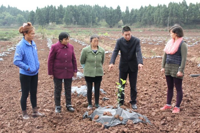 　　近日，市级科技特派员来到柏梓镇哑河村为当地村民讲解柠檬种植技术。据悉，区科委组织100余名市、区级科技特派员到村社宣讲党的十九大精神和种养殖技术，提高农民科技意识和致富能力，让党的十九大精神深入到普通群众中去，让群众听得懂、记得住、感受到。 记者何建军摄
