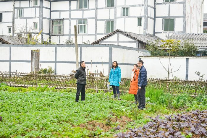 农技专家指导油菜冬季田间管理。
