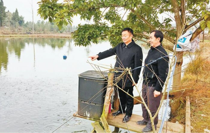 何长春（左）在察看村民家鱼苗的生长情况。
