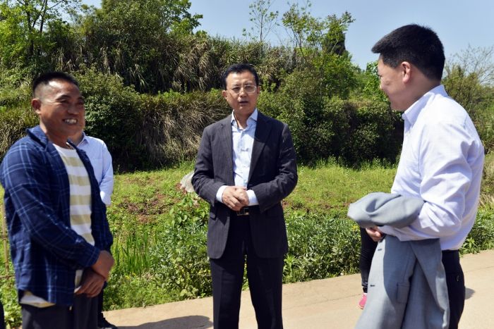 4月2日，区委书记曾菁华在寿桥镇调研扶贫产业发展。全媒体记者田茂培摄
