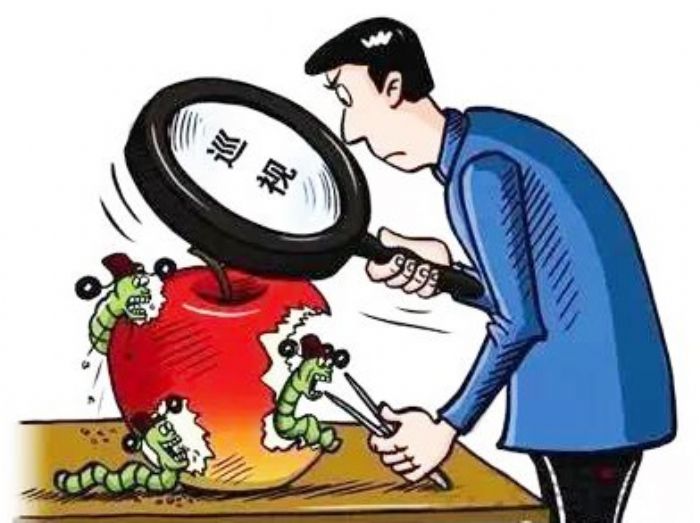 图片来自网络
