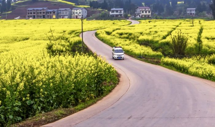 公路两旁美景如画。
