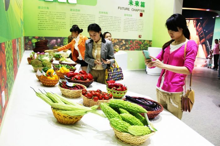 游客在蔬菜展览馆参观。
