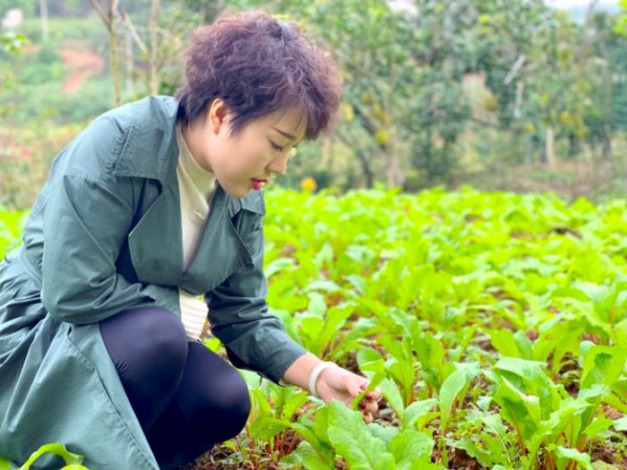 张甜在田间查看蔬菜长势。
