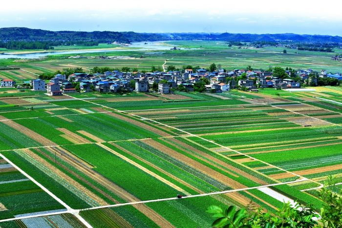 绿色养生的田园城市。
