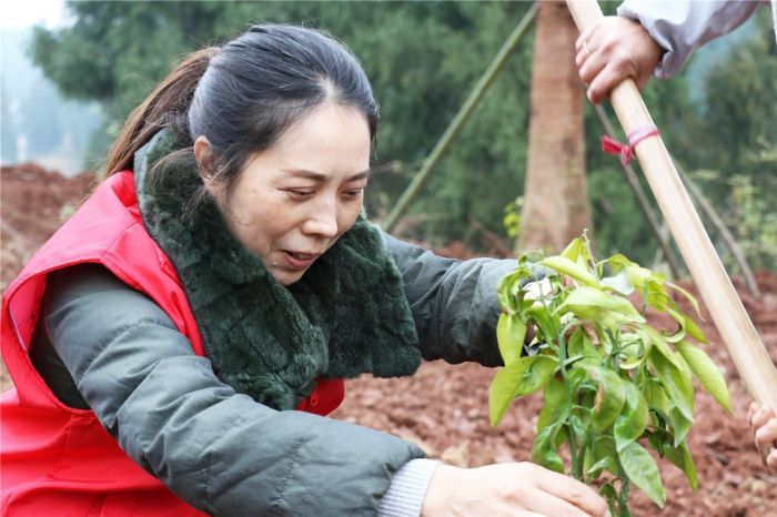 栽下幼苗，种下希望。
