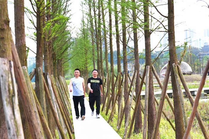 市民在大佛寺湿地公园绿道锻炼。
