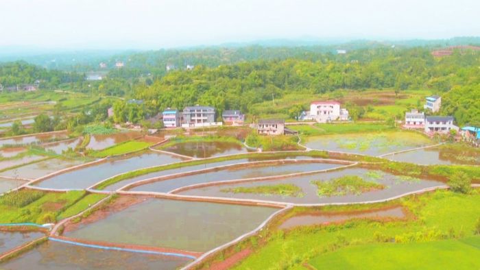 寿桥镇万亩方寸农民专业养殖合作社。
