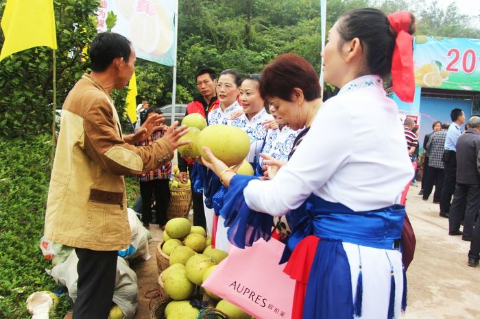 庆农民丰收品宝龙蜜柚