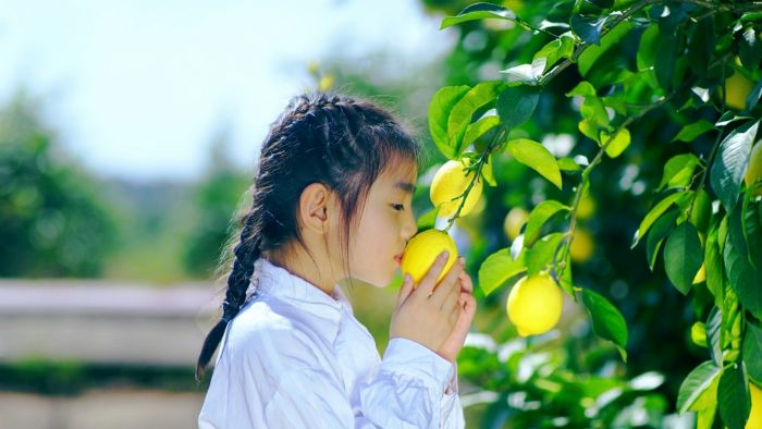 芳香四溢的柠檬
