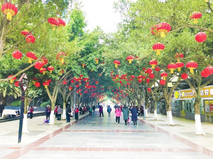 江北奋进广场旁的林荫道上挂满了红灯笼，迎接新春佳节的到来。
