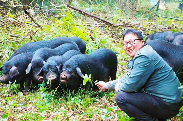 潼南共润农业有限公司工作人员查看生猪长势。
