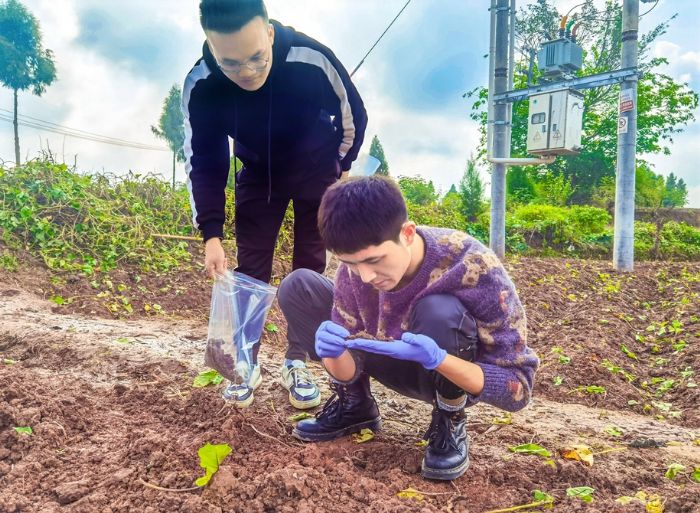 农技专家进行土壤病虫害调查取样。
