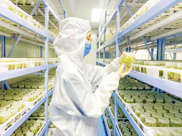 重庆市泷泮生物科技有限公司科研实验室。
