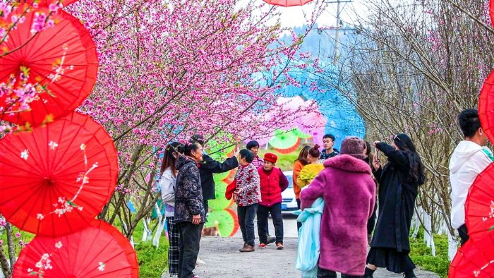 市民在宝龙镇龙湾村桃博园拍照“打卡”。
