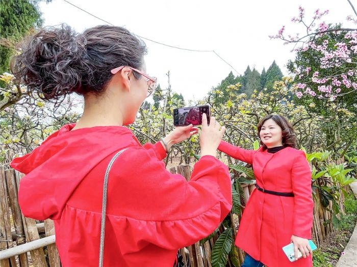 游客在梨花景区拍照留念。
