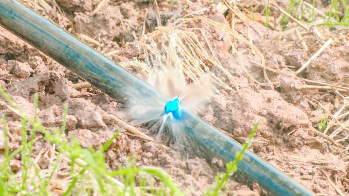 自动水肥灌溉系统。
