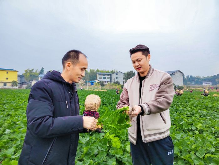 农技专家深入一线同种植户交流油菜种植经验。
