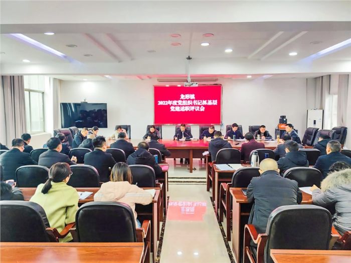 龙形镇2022年度基层党组织书记述职评议会现场。
