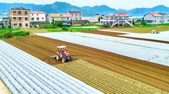 農機在桂林壩蔬菜基地進行深鬆作業。
